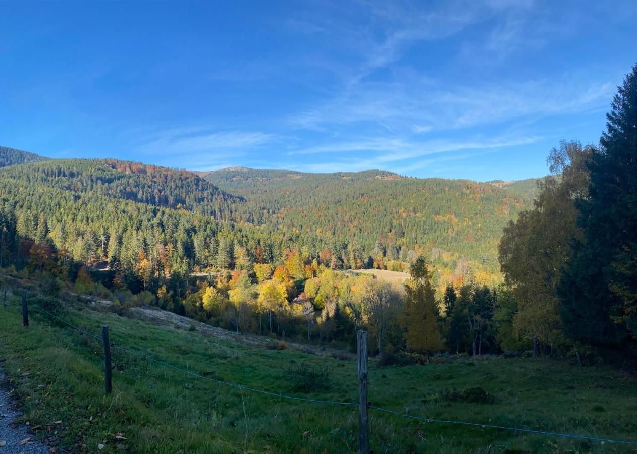 Le Chalet De Cathy Soultzeren Dış mekan fotoğraf