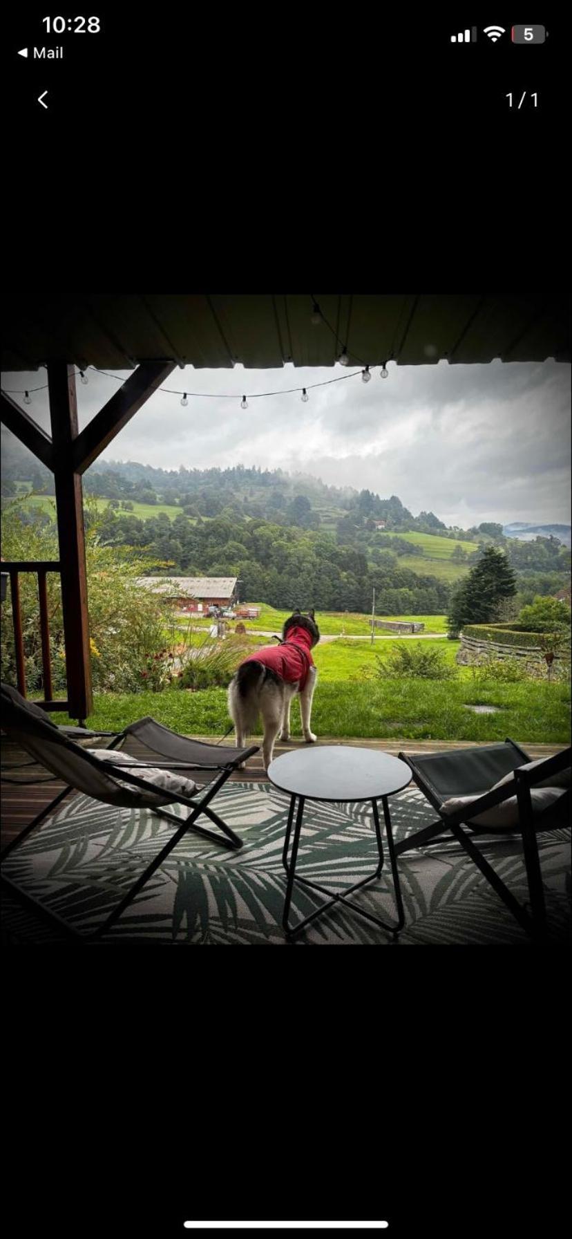 Le Chalet De Cathy Soultzeren Dış mekan fotoğraf