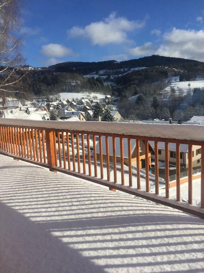 Le Chalet De Cathy Soultzeren Dış mekan fotoğraf